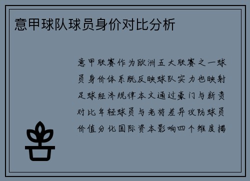 意甲球队球员身价对比分析